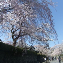 大石寺