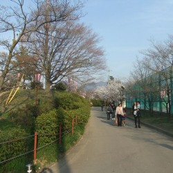 大法師公園