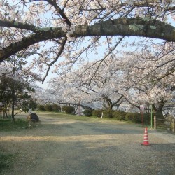 大法師公園