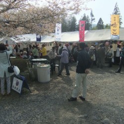 狩宿の下馬桜