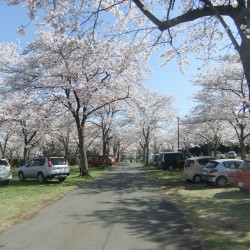 大石寺