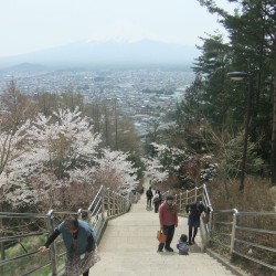 新倉山浅間公園