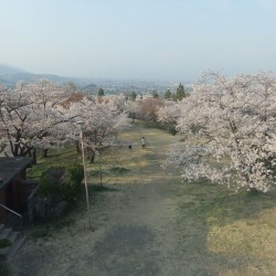 大法師公園