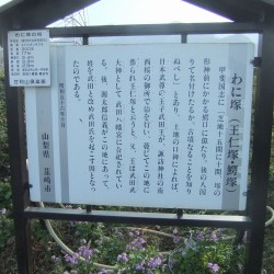 わに塚の桜