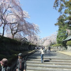 大石寺