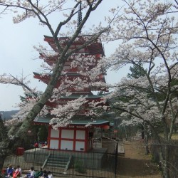 新倉山浅間公園