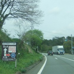 冨士桜祭り