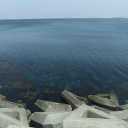 長浜海浜公園