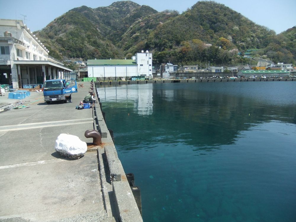 小物から大型魚まで狙える沼津市獅子浜 静浦港 の釣り ポイント