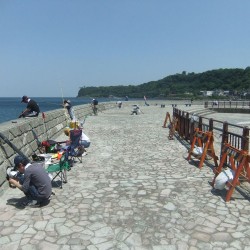 いるか浜公園