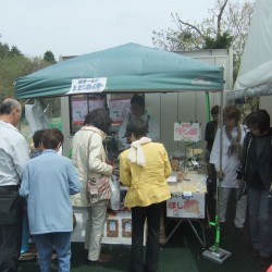 冨士桜祭り