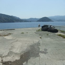 「江浦」岸壁の釣り