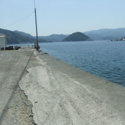 「江浦」岸壁の釣り