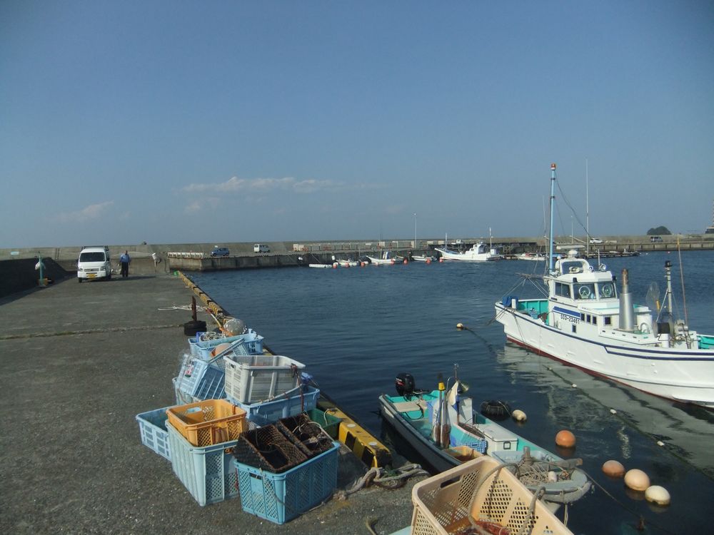 伊東市 伊東港 堤防の釣り ポイント 狙える魚