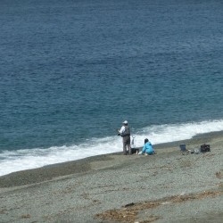 沼津港
