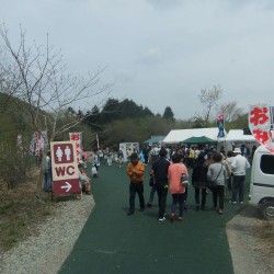 冨士桜祭り