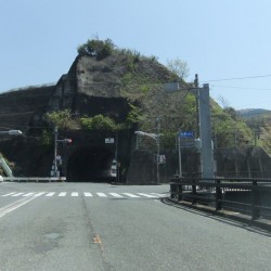 口野