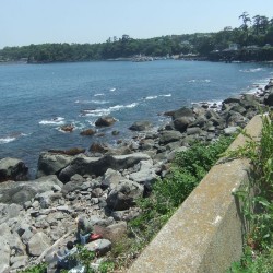 富戸港