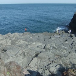 八幡野港