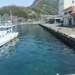 「静浦港」