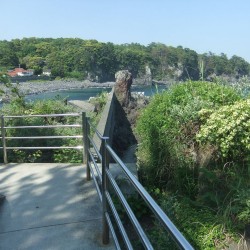 八幡野港