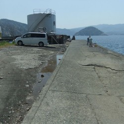 「江浦」岸壁の釣り