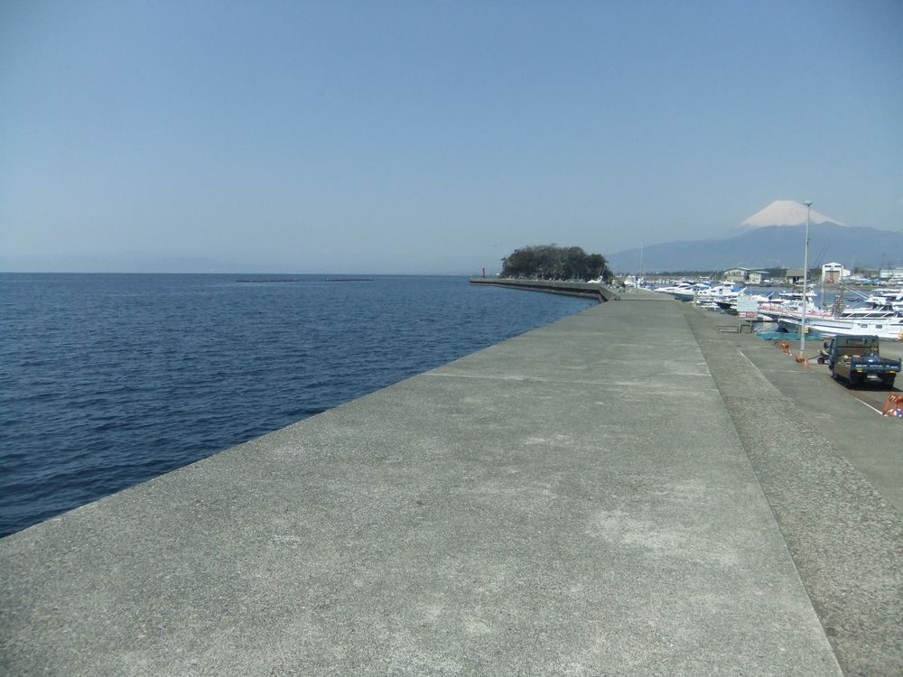 小物から大型魚まで狙える沼津市獅子浜 静浦港 の釣り ポイント