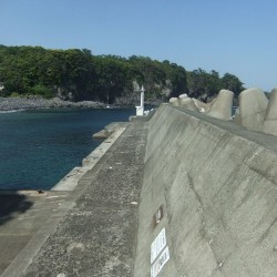 「八幡野港」堤防