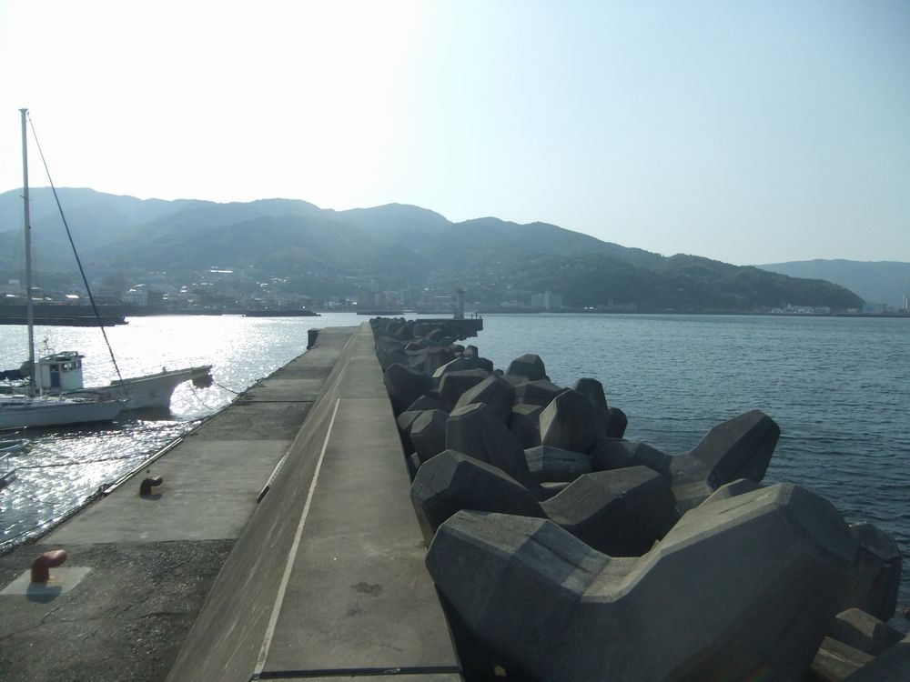 伊東市 伊東港 堤防の釣り ポイント 狙える魚