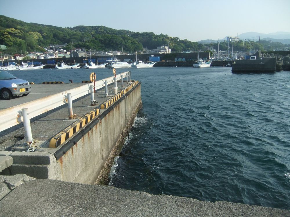 伊東市 伊東港 堤防の釣り ポイント 狙える魚