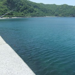 いるか浜公園