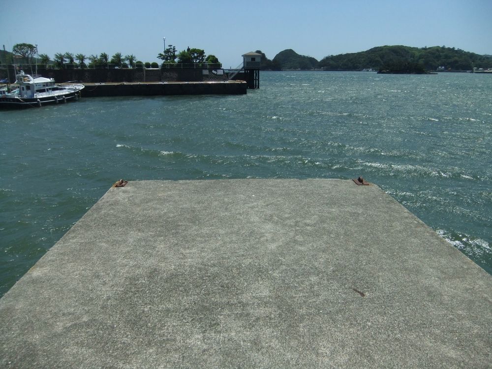 下田港のど真ん中 まどか浜海遊公園 の釣り 狙える魚