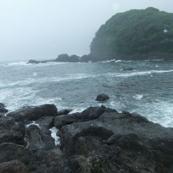 菖蒲沢港