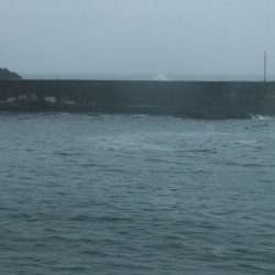 菖蒲沢港