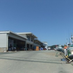 下田魚市場