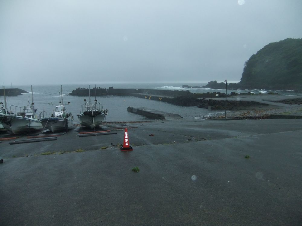 河津町 菖蒲沢港 堤防と付近の地磯の釣り 狙える魚