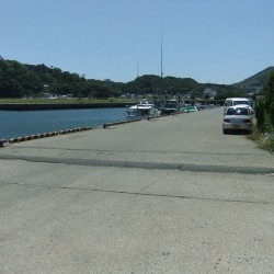 下田魚市場