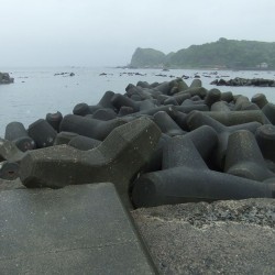下流港