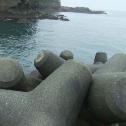 小稲港