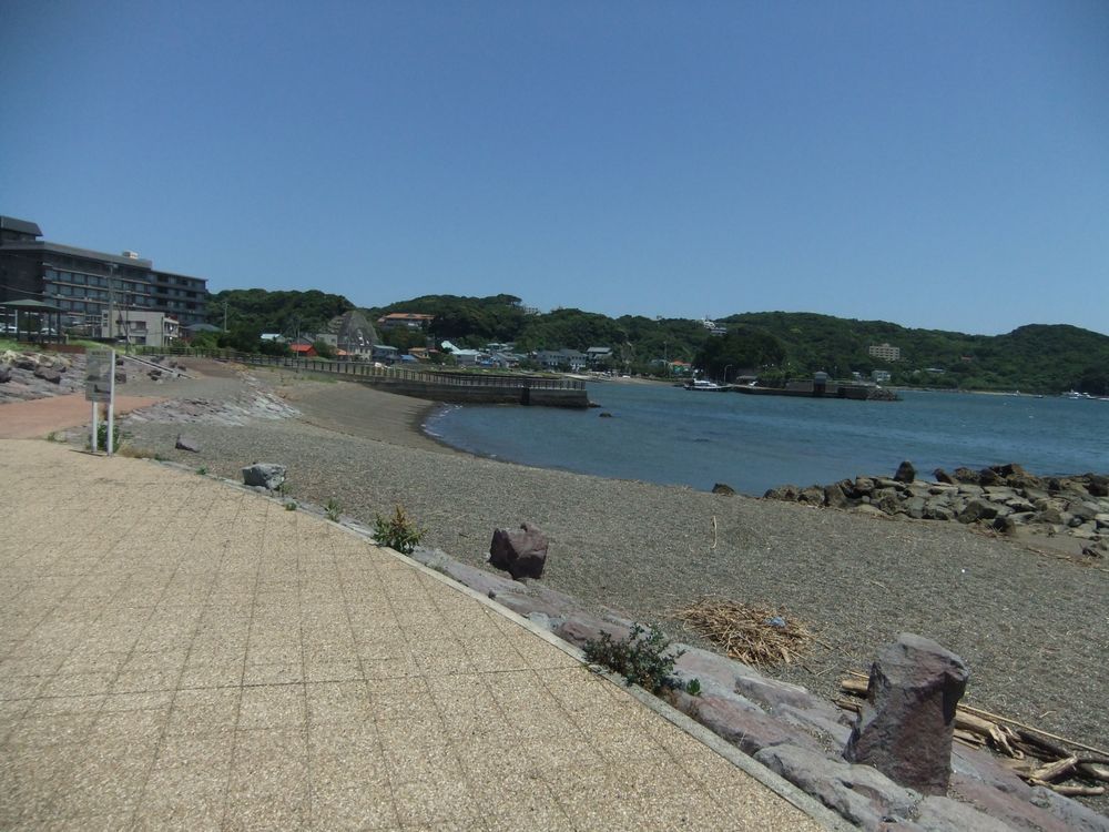 下田港のど真ん中 まどか浜海遊公園 の釣り 狙える魚