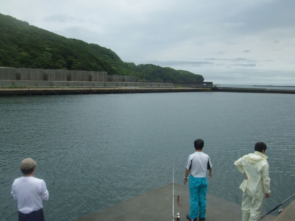 下田市 浄化センター 福浦堤防 の釣り 狙える魚 行き方