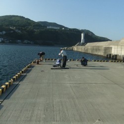 稲取港