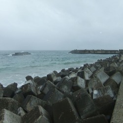 田牛港