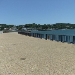 まどか浜海遊公園