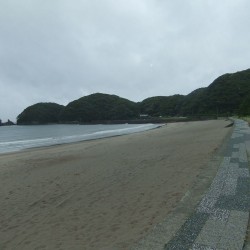 青野川