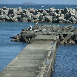 下流港