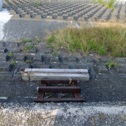 田子の浦港