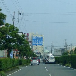 田子の浦港