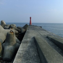 田子の浦港