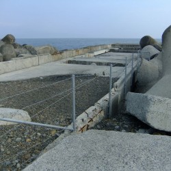 田子の浦港